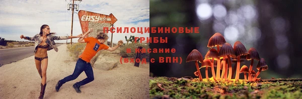 Альфа ПВП Бугульма
