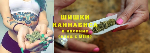 экстази Бородино