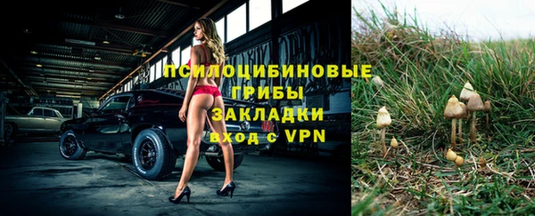 ALPHA-PVP Верхний Тагил