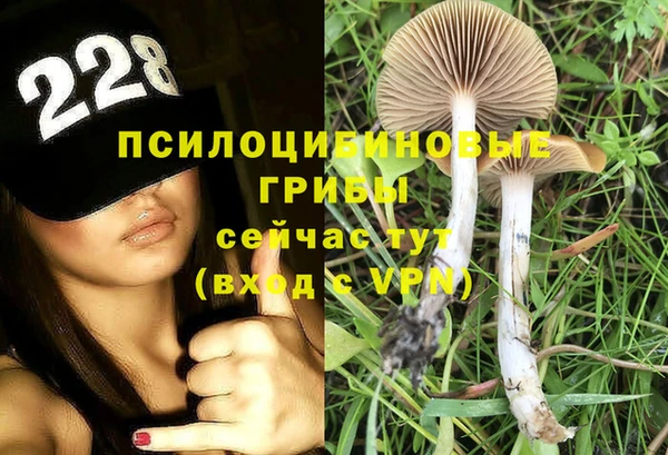 2c-b Верея