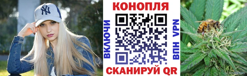 купить закладку  MEGA ONION  Конопля White Widow  Звенигород 